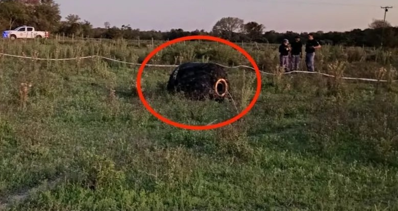 gokyuzunden tuylu bir cisim firlayarak koyun ortasina dustu goren soke oluyor Am526YZb