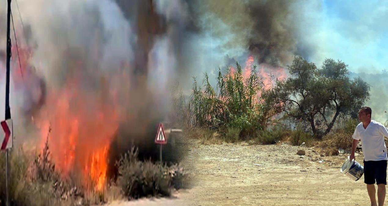 yola atilan sigara izmariti yangin cikardi kNgtuqFT