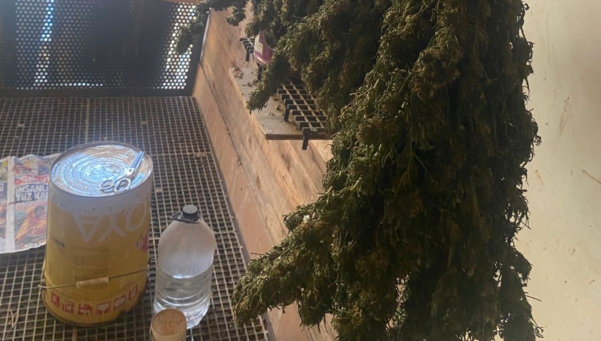 bursada guvercin kumesine gizlenmis uyusturucubulundu v5kRMS6X