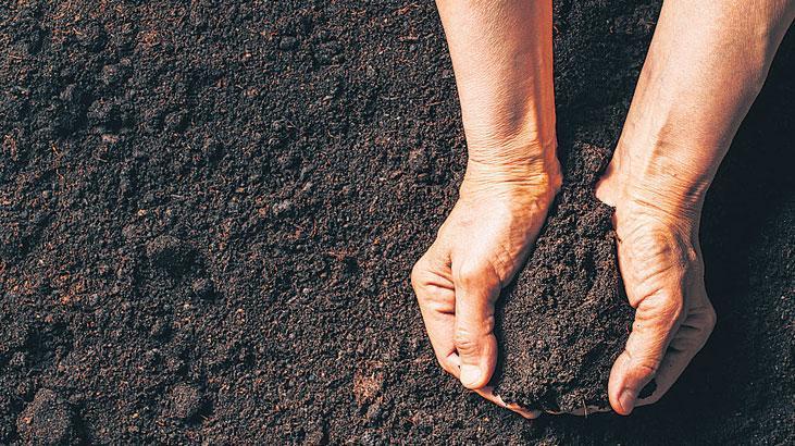 iste nadir toprak elementleri nte hakkinda her sey modern yasamin nadir altyapisi pIrJj22E.jpg