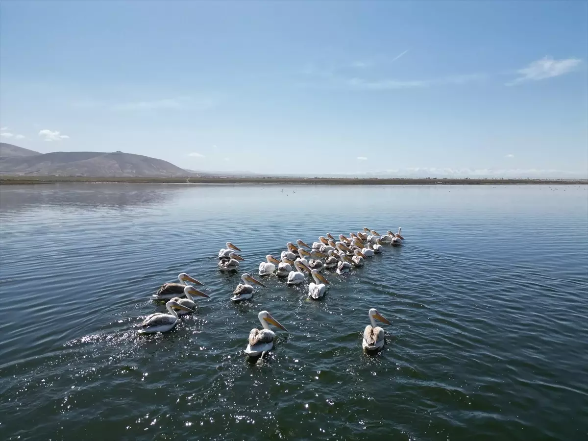 nigdede kuraklik barajlari vurdu prscUqam