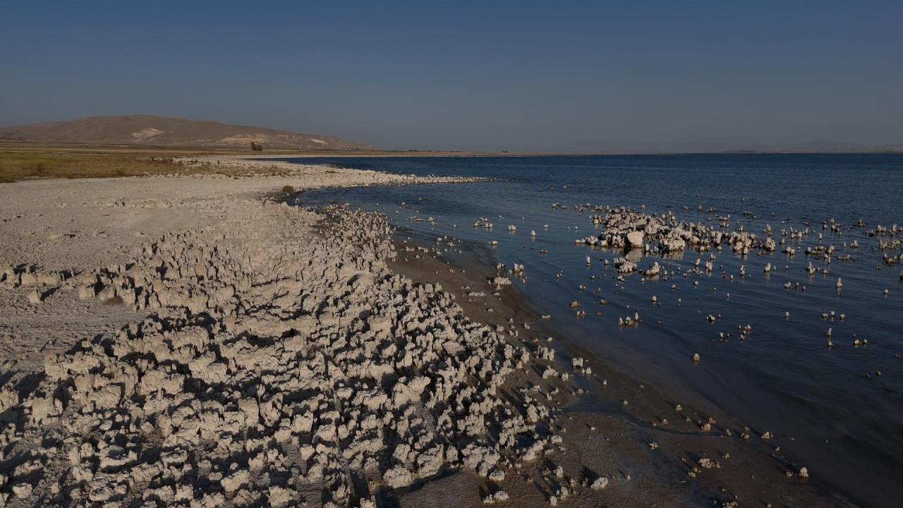 van golunde kuraklik alarmi sular cekilince ortaya cikan tablo korkuttu wLXslHqY