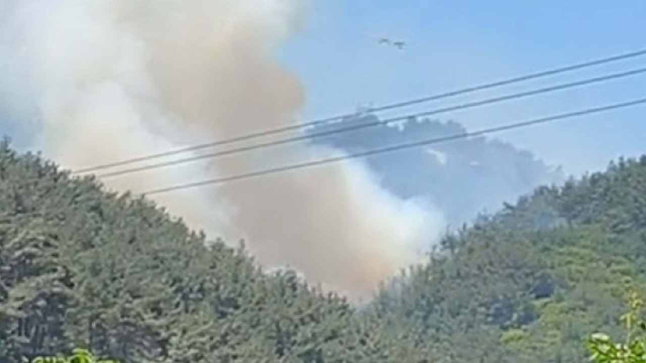 Son dakika | Manisa’da orman yangını! Havadan ve karadan müdahale başlatıldı