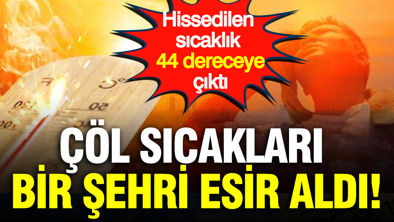 Col sicaklari bir sehri esir aldi hissedilen sicaklik 44 dereceye cikti 3YEXDmmn