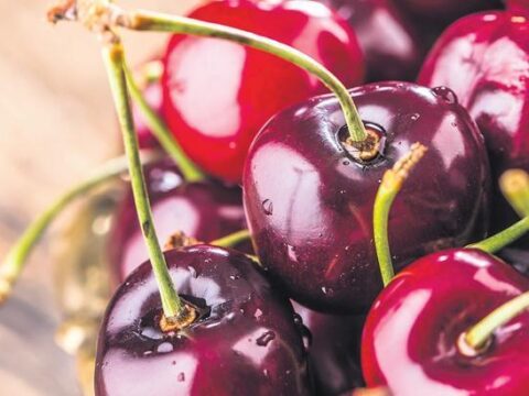 Yas meyve sebze ihracatinda ilk yari rekoru geldi 100 bin ton az 700 milyon rSGPP9va